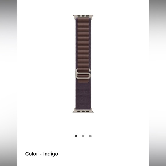 Apple Other - 49mm Indigo Alpine Loop - Large - Natural Titanium Finish